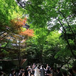 八芳園の写真3枚目