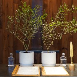 TRUNK HOTELの写真26枚目