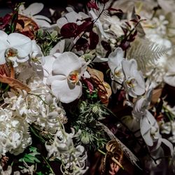 アンダーズ東京の写真14枚目