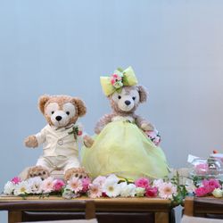 青山フェアリーハウスの写真25枚目