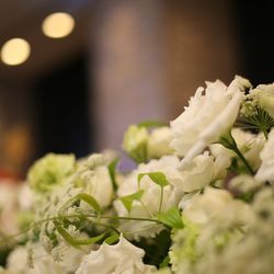 シェラトン・グランデ・トーキョーベイ・ホテルの写真24枚目