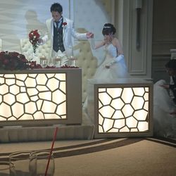 ステラ・デル・アンジェロの写真36枚目