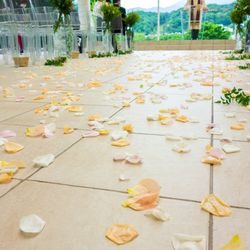 アマンダンヒルズの写真11枚目