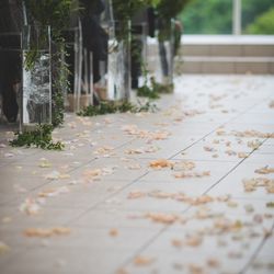 アマンダンヒルズの写真1枚目