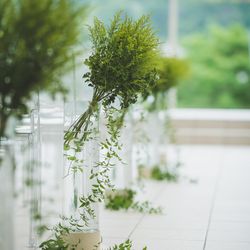 アマンダンヒルズの写真6枚目