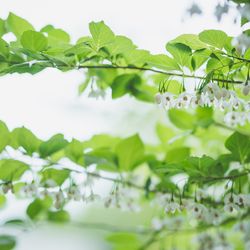 アマンダンヒルズの写真1枚目