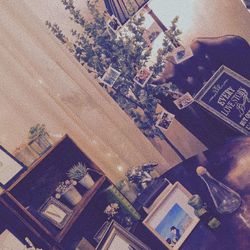 南青山サンタキアラ教会の写真17枚目