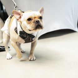 ザ・テンダーハウスの写真21枚目