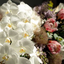 ザ・テンダーハウスの写真32枚目