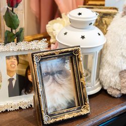 カサ・デ・アンジェラ青山の写真10枚目