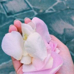 南青山サンタキアラ教会の写真21枚目