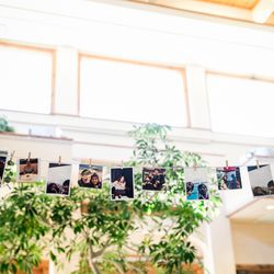 オランジュベールの写真5枚目