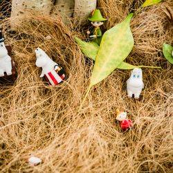 オランジュベールの写真18枚目