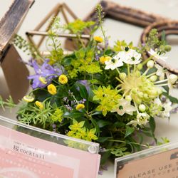 赤坂アプローズスクエア迎賓館の写真33枚目