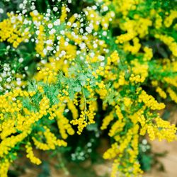 オランジュベールの写真22枚目