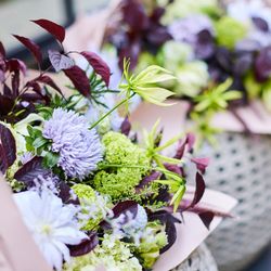 TRUNK HOTELの写真28枚目