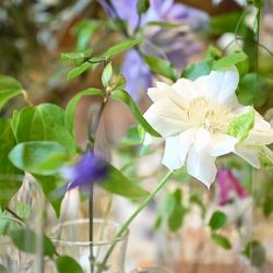 TRUNK HOTELの写真30枚目