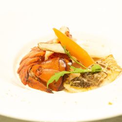 アコールハーブの写真14枚目