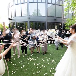 アコールハーブの写真33枚目