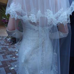 リストランテ カノビアーノ の写真2枚目