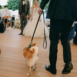 葛西臨海公園ウエディング Denim-デニム-の写真26枚目