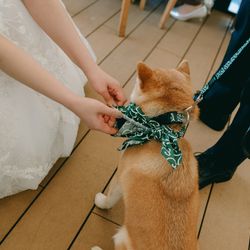 葛西臨海公園ウエディング Denim-デニム-の写真23枚目