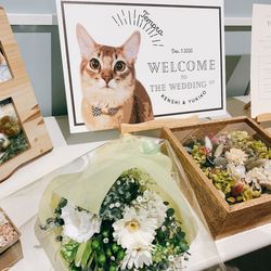 リストランテ カノビアーノ の写真3枚目