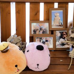 アンジュールハウスの写真4枚目