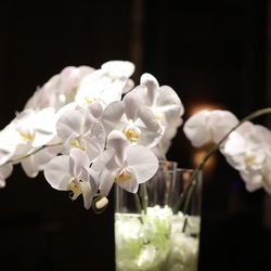 ザ・リッツ・カールトン東京の写真12枚目