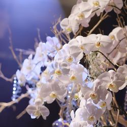 ザ・リッツ・カールトン東京の写真16枚目