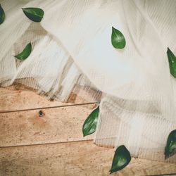 エルム ガーデンの写真35枚目