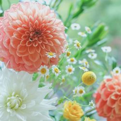 エルム ガーデンの写真23枚目