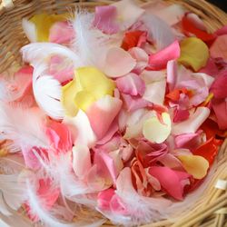 ノートルダム神戸の写真23枚目