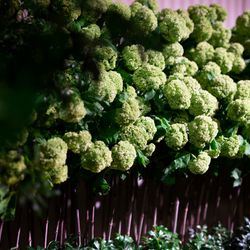 マンダリン オリエンタル 東京の写真3枚目