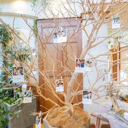 ミエルココンの写真19枚目