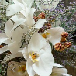 ザ・カワブンナゴヤの写真9枚目