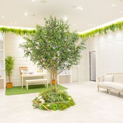 シャルマンシーナ東京の写真20枚目