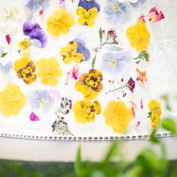 アールベルアンジェ札幌の写真24枚目