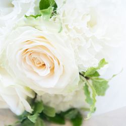 アールベルアンジェ札幌の写真32枚目