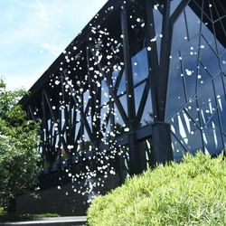 ラヴィマーナ神戸の写真15枚目