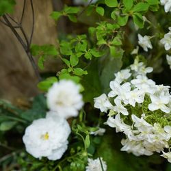 TRUNK HOTELの写真30枚目