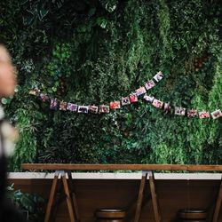 SOLA KOBEの写真13枚目