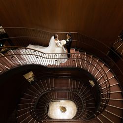 東京會舘の写真19枚目