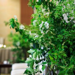 パレスホテル東京の写真14枚目