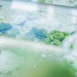 ラグナヴェール大阪 LAGUNAVEIL OSAKAの写真29枚目