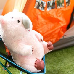 伊勢山ヒルズの写真34枚目