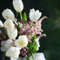 ザ ナンザンハウスの写真21枚目