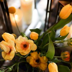 ザ ナンザンハウスの写真5枚目