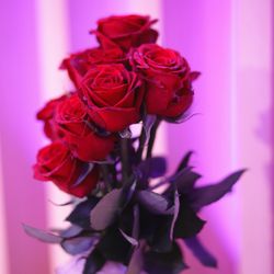 ホテル雅叙園東京の写真2枚目