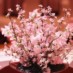 ホテル雅叙園東京の写真1枚目